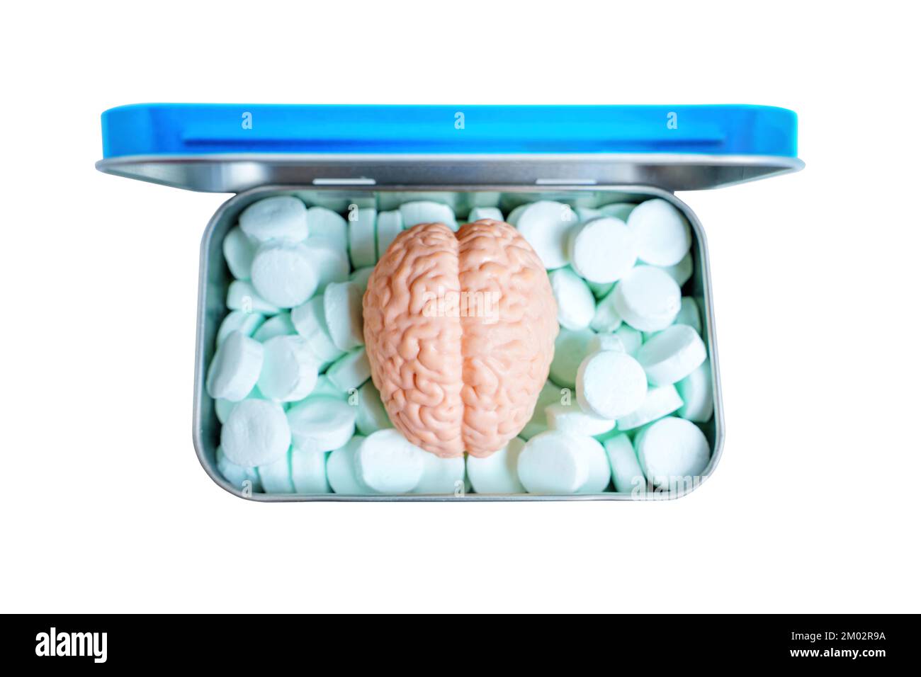 Boîte d'étain de menthe respiratoire avec un cerveau humain placé sur le dessus isolé sur blanc. Réservoir d'idées fraîches concept. Banque D'Images