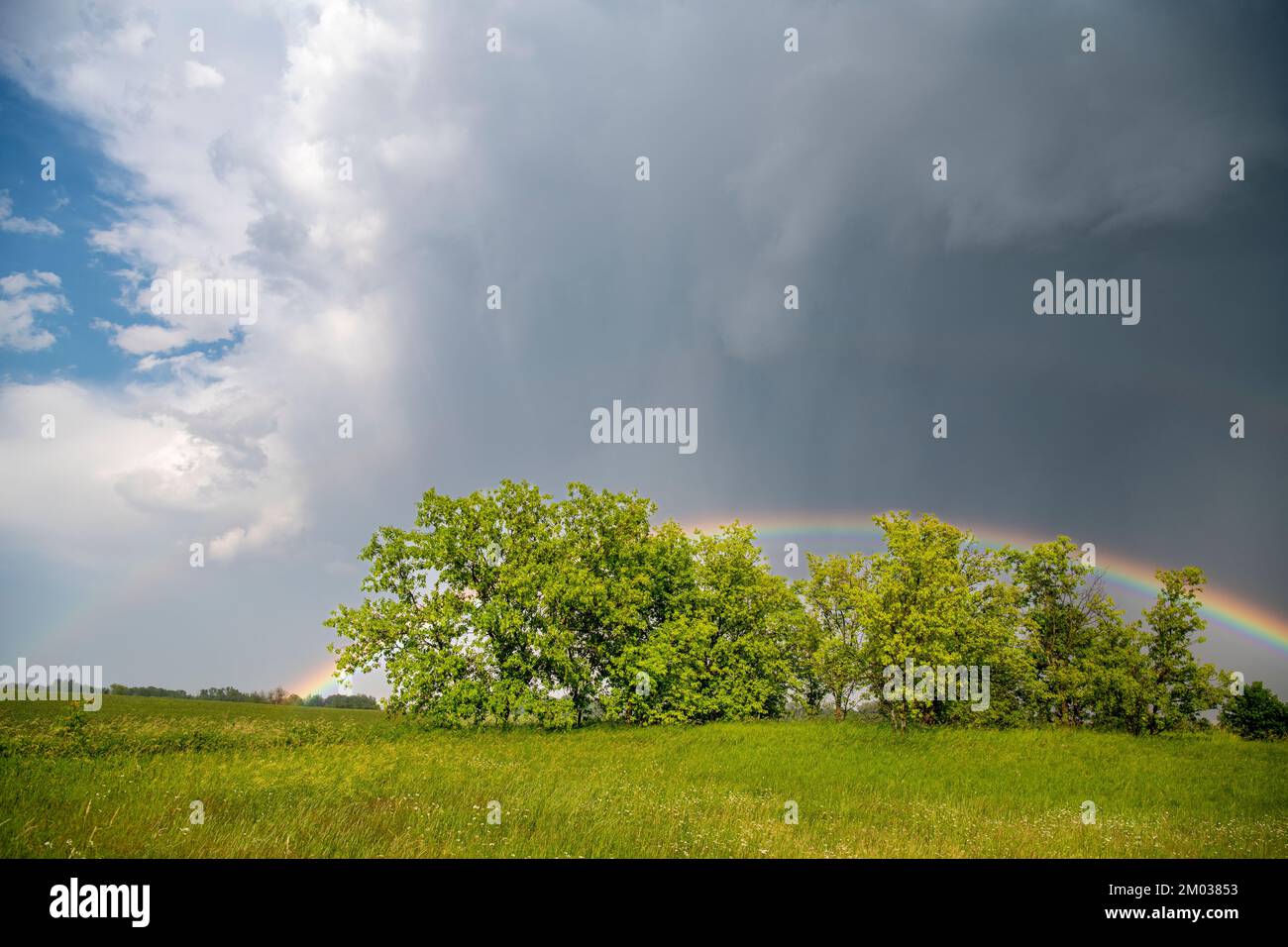 Nuages de tempête et arc-en-ciel, dans le Midwest des États-Unis, par Dominique Braud/Dembinsky photo Assoc Banque D'Images