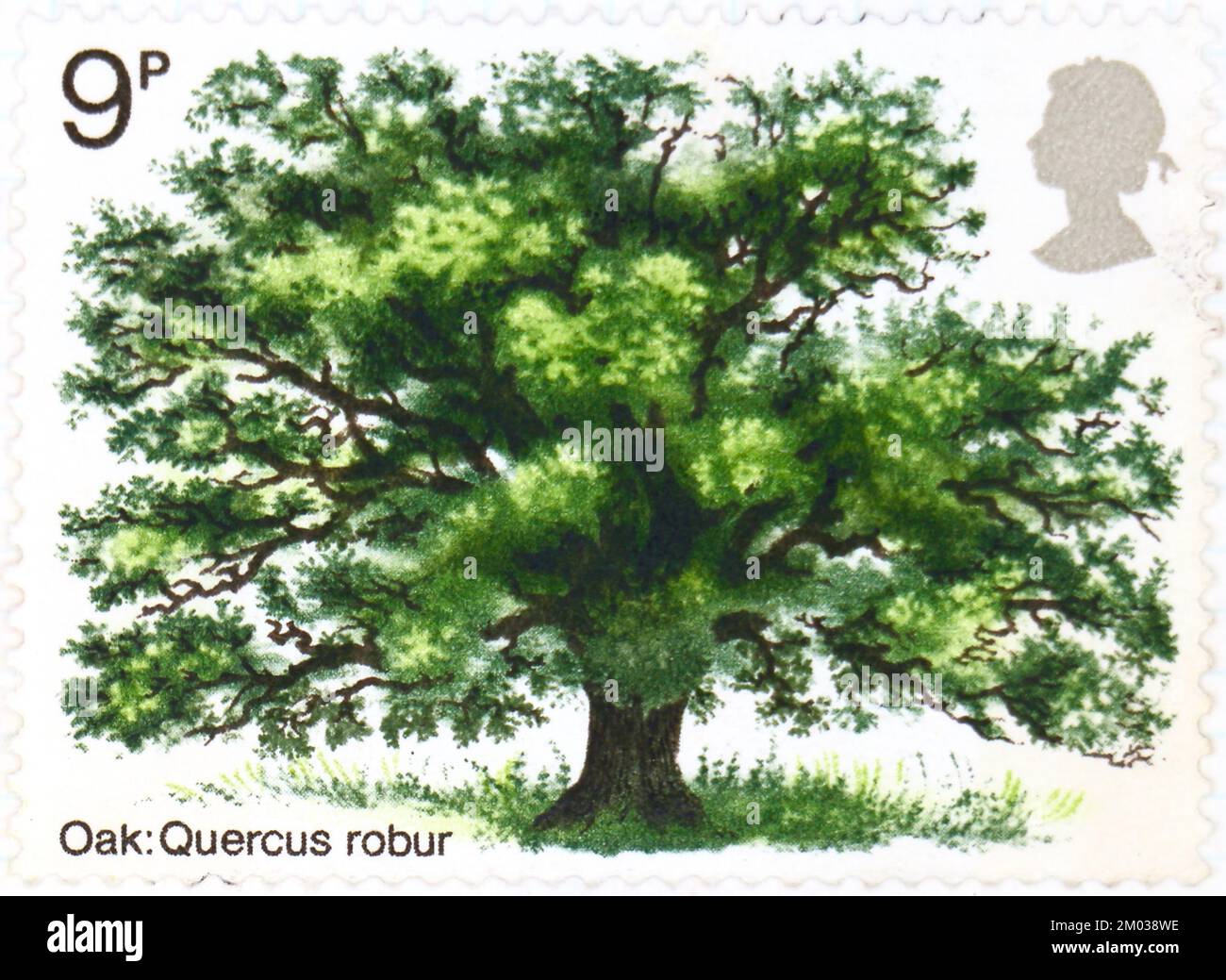 Photo d'un timbre-poste britannique Oak Tree Quercus robur Trees série 1973 Banque D'Images