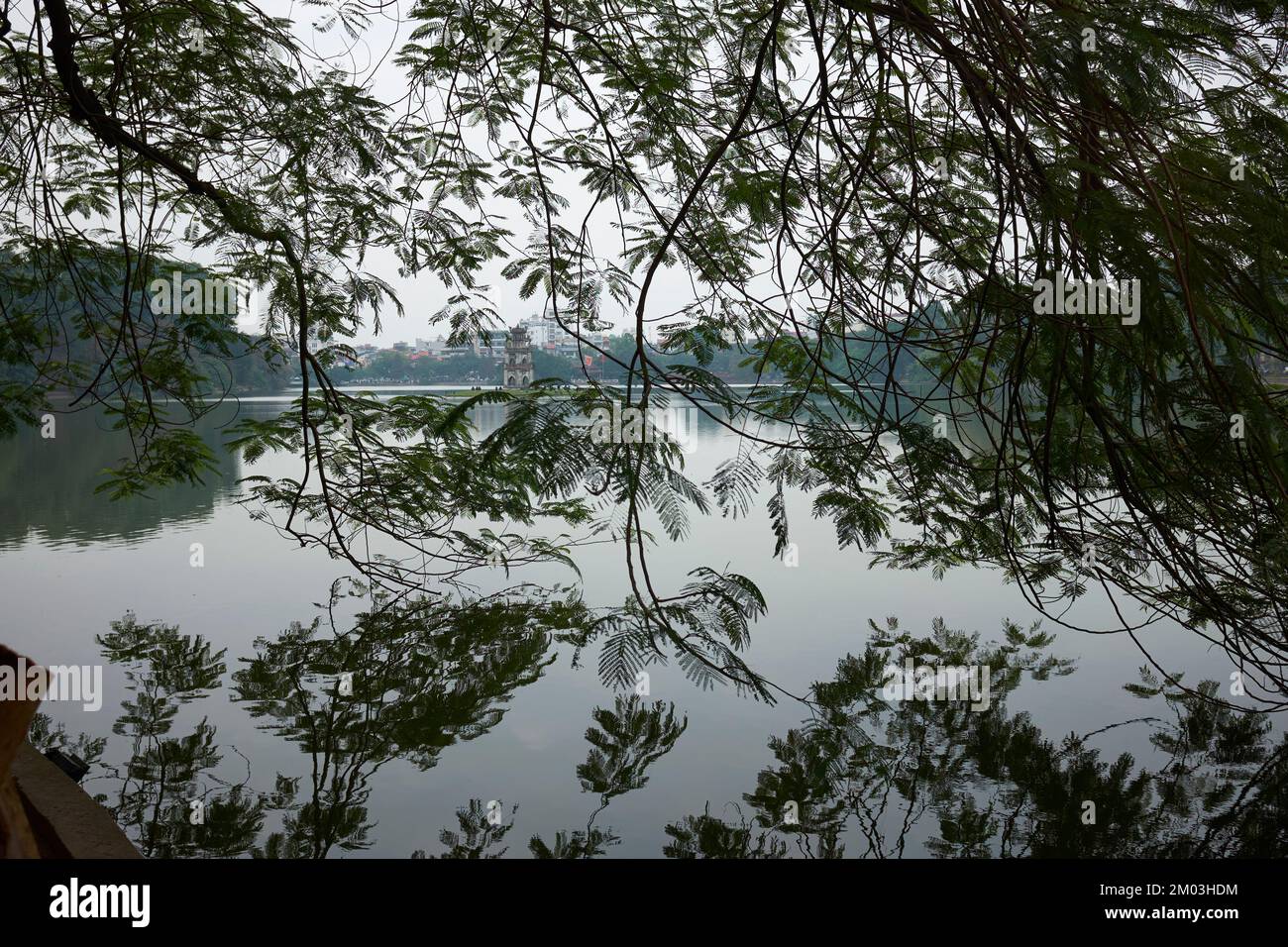 Arbres suspendus en face du lac Hoan Kiem Hanoi Vietnam Banque D'Images