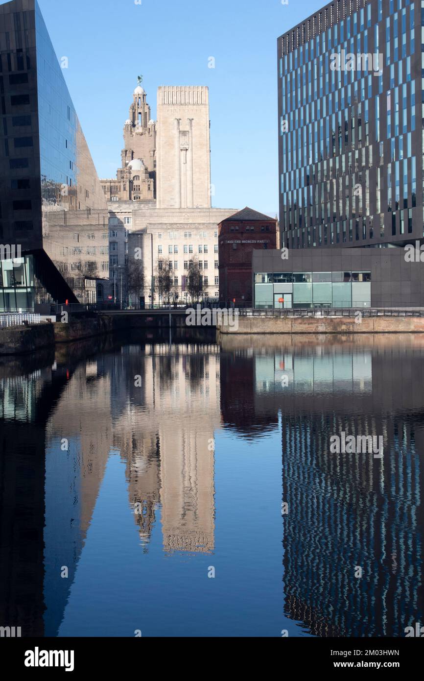 Royal Albert Dock, avec le bâtiment Longitude et le tunnel Mersey, Liverpool Liverpool Docks UK Banque D'Images