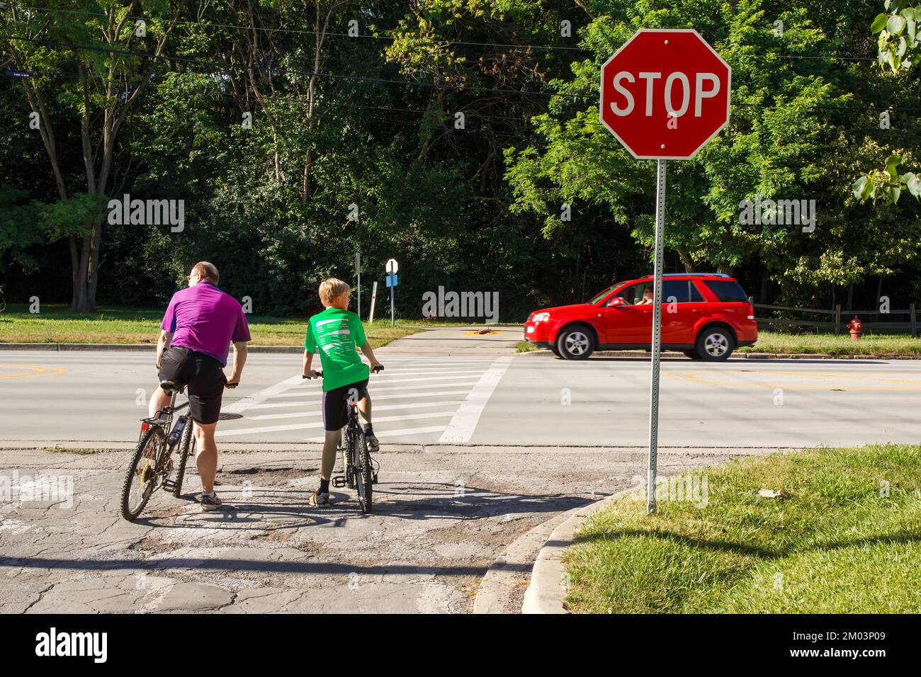 Des cyclistes adultes et des cyclistes pré-adolescents au panneau d'arrêt avant de traverser une route très fréquentée. Banque D'Images