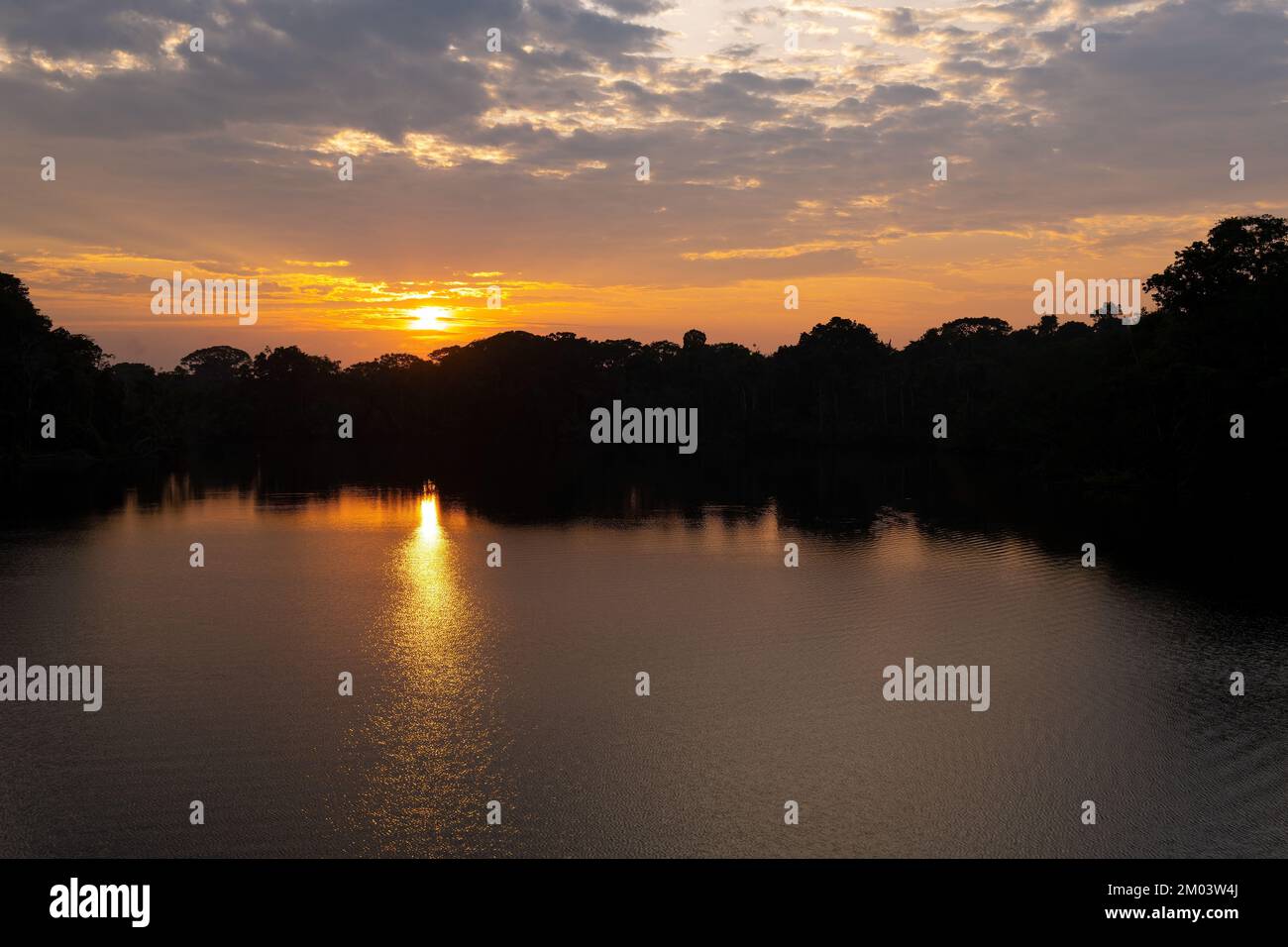 Reflet au lever du soleil dans la forêt amazonienne, Équateur. Banque D'Images