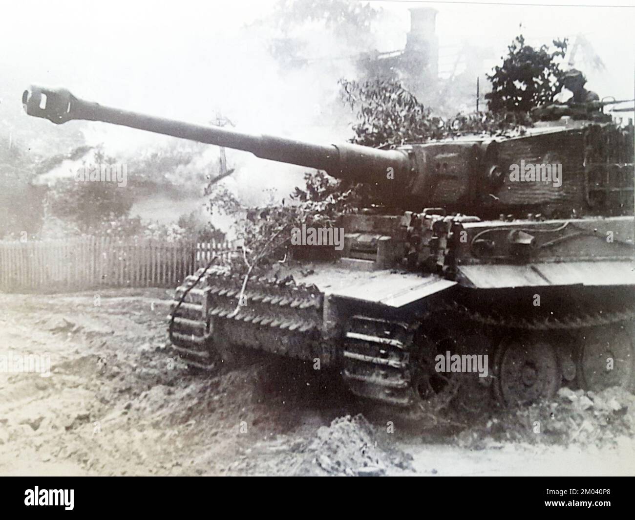 Tiger tank eastern front Banque de photographies et d’images à haute ...