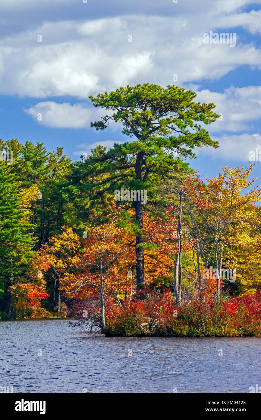 D'une superficie d'environ 350 hectares, Peks Pond, dans le Delaware State Foresat, dans les monts Pocono de Pennsaylvania, est un lac de loisirs populaire pour la pêche Banque D'Images