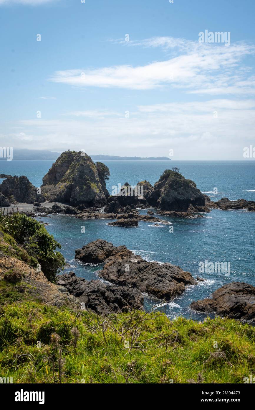 Falaises et côte rocheuse près de Elephant point, parc régional de Tawharanui, péninsule de Tawharanui, Matakana, Auckland, Île du Nord, Nouvelle-Zélande Banque D'Images