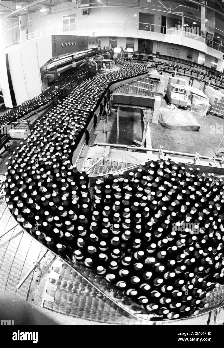 Production de bière au Dortmunder Aktien-Brauerei (DAB) le 29.07.1975 à Dortmund, Allemagne, Europe Banque D'Images
