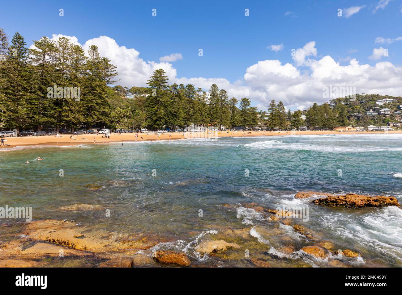 Palm Beach à Sydney, été jour 2022 avec ciel bleu, rochers submergés dans l'océan et pins norfolk entourent la plage, Nouvelle-Galles du Sud, Australie Banque D'Images