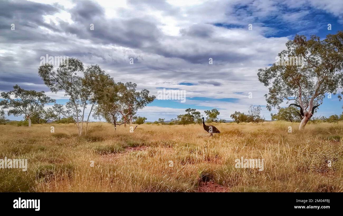 Coucher de soleil serein dans l'Outback de Kimberley Pilbara Karijini après la pluie du cyclone Banque D'Images