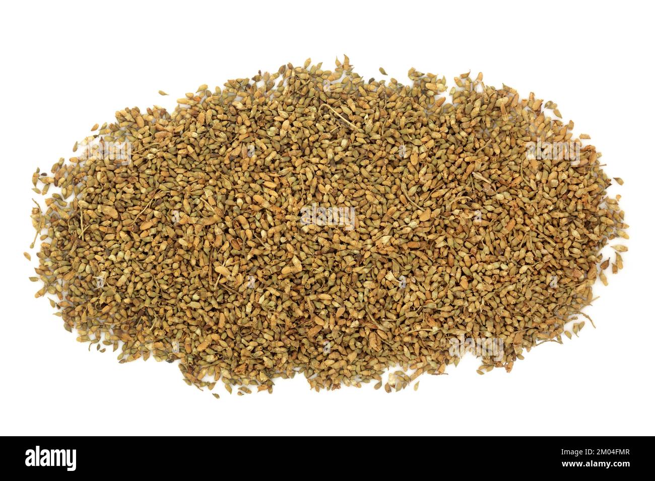 Pagoda arbre fleur bud herbe utilisée en médecine chinoise de fines herbes, traite les hémorroïdes, les caillots sanguins, la diarrhée, les problèmes de ménopause. Sophora japonica. Banque D'Images