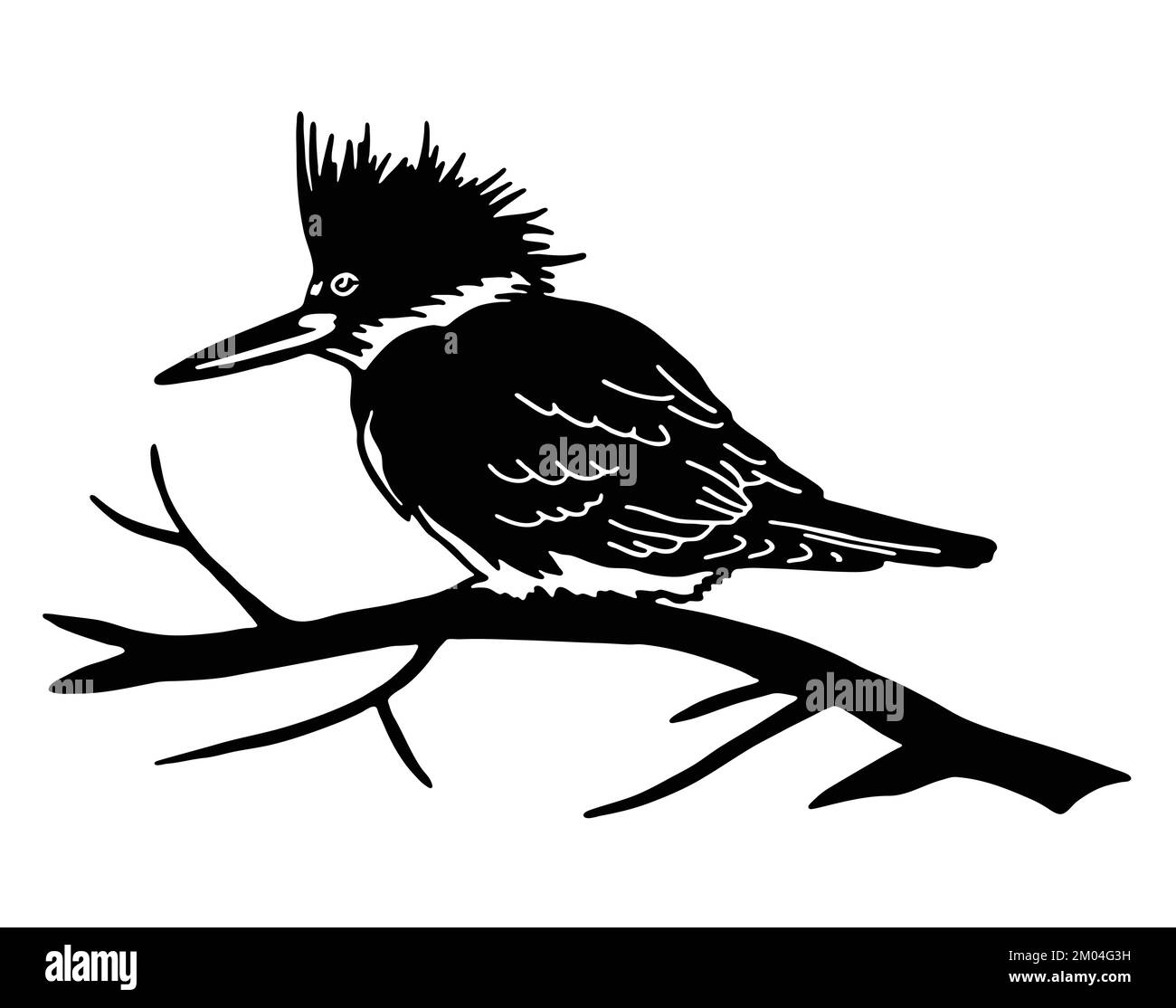 Logo King Fisher Bird Vintage Drawing. grand oiseau de pêcheur assis sur l'emblème de silhouette de branche d'arbre Illustration de Vecteur