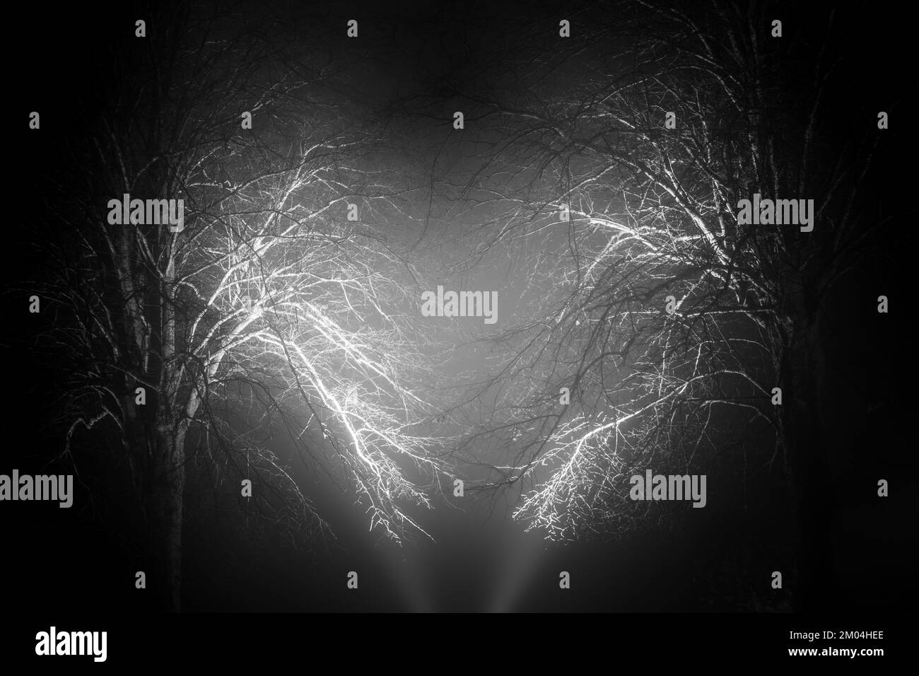 Lumière et contrefort dans le brouillard formant un coeur Banque D'Images