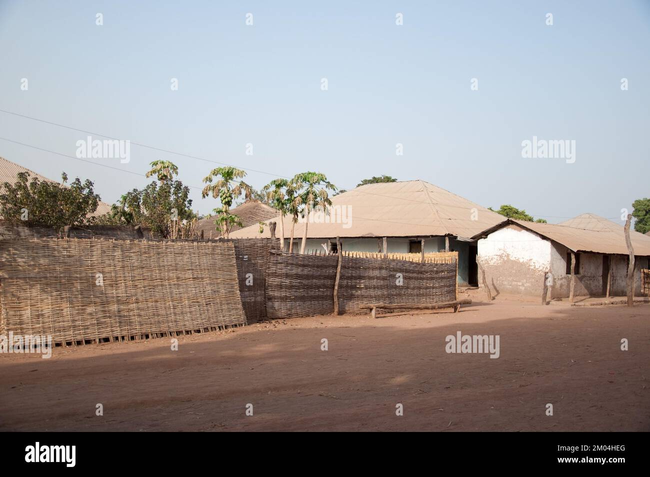 Zone rurale, Priame, région de Bafata, Guinée-Bissau - clôture soignée; route de boue bien entretenue; papaye; huttes de boue; Afrique Banque D'Images