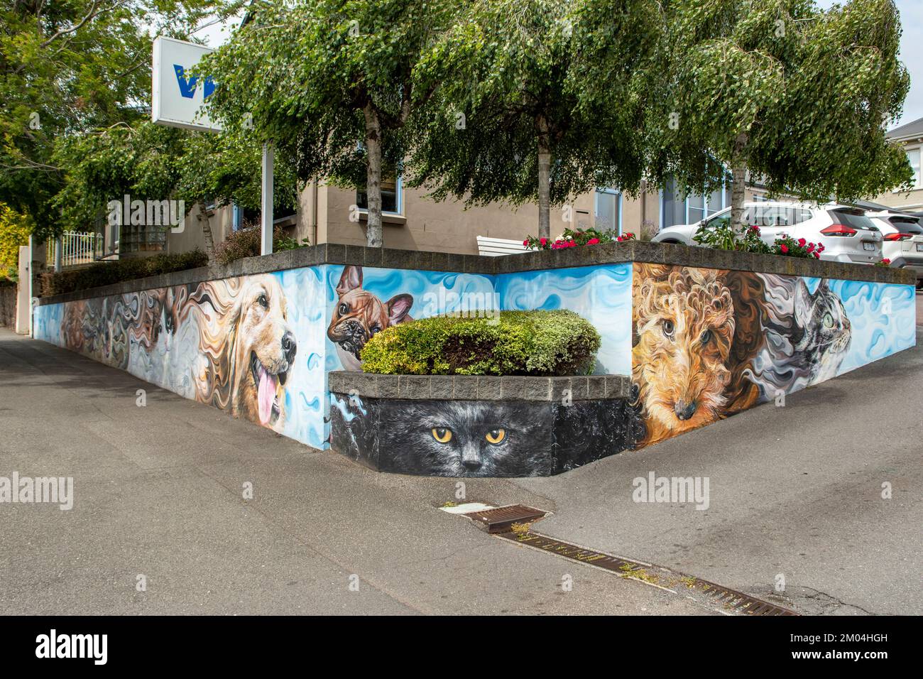 Street Art at Veterinary Clinic, Launceston, Tasmanie, Australie Banque D'Images