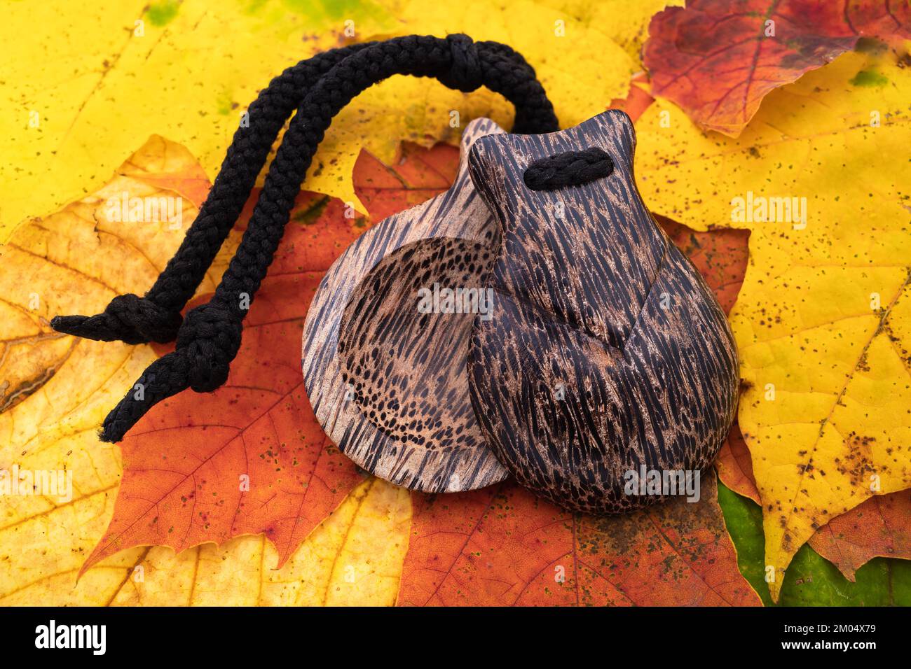Calanets percussifs sur fond de feuilles colorées d'automne Banque D'Images