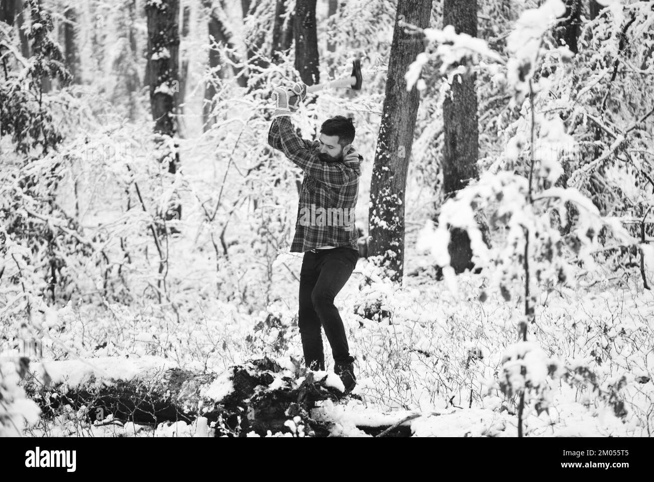 Woodsman avec des arbres couverts de neige sur fond Banque D'Images