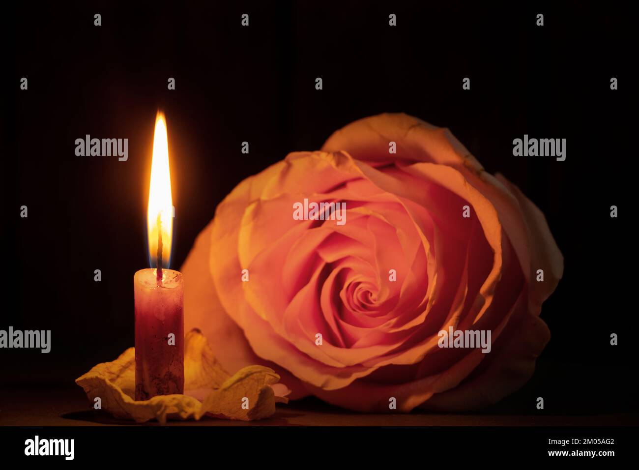 une flamme de bougie et à côté d'une rose dans le sombre gros plan Photo  Stock - Alamy