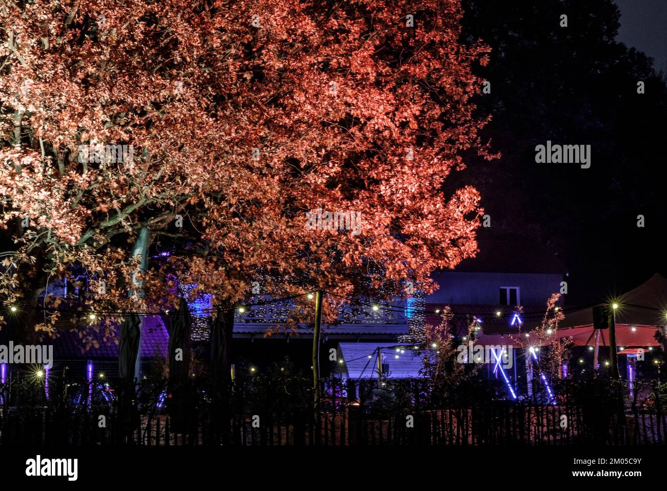 Édition 22eme des plaisir d'hiver au coeur de Bruxelles et au bois de la Cambre | au coeur de Bruxelles, le marché de noël nommé Winter Wonders Banque D'Images