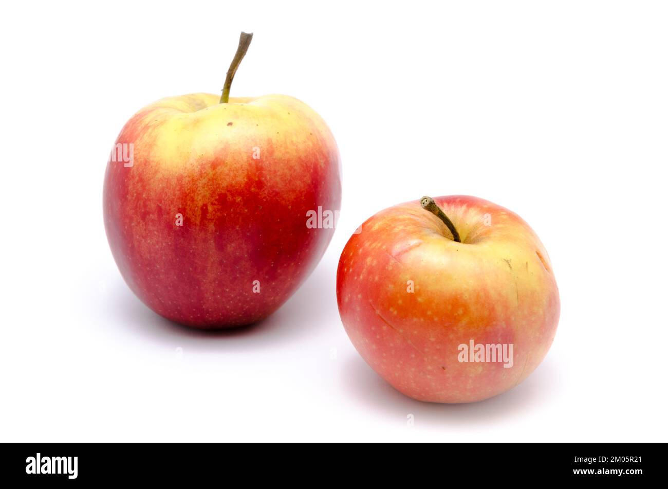 2 Pommes Rouges Deux pommes avec espace de copie Banque de photographies et d’images à ...