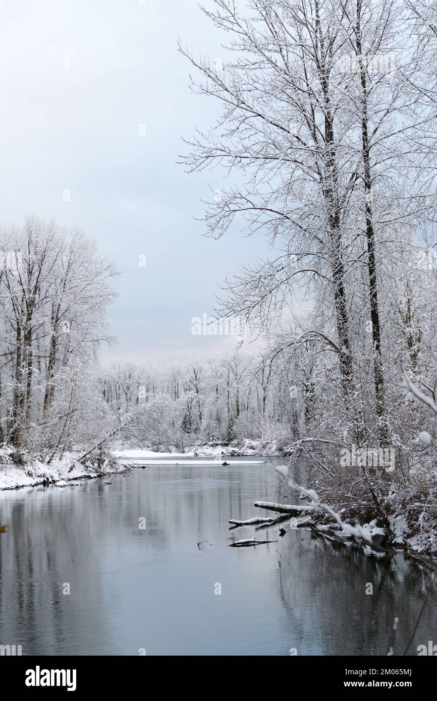 La rivière Snoqualmie qui coule le long des arbres avec de la neige fraîche tombe sur les branches et le bord de la rivière en hiver Banque D'Images