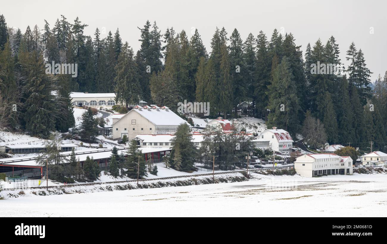 Carnation, WA, Etats-Unis - 01 décembre 2022; Carnation exploite des bâtiments agricoles dans la vallée de Snoqualmie, couverts de neige Banque D'Images