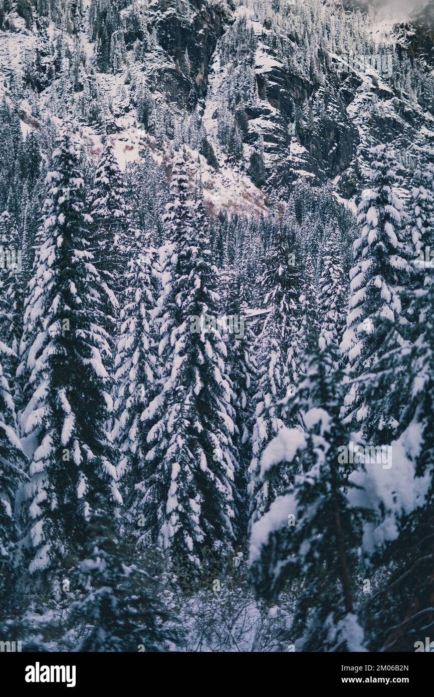 Neige à Snoqualmie Pass Seattle photo Washington par Elmer Franco Banque D'Images