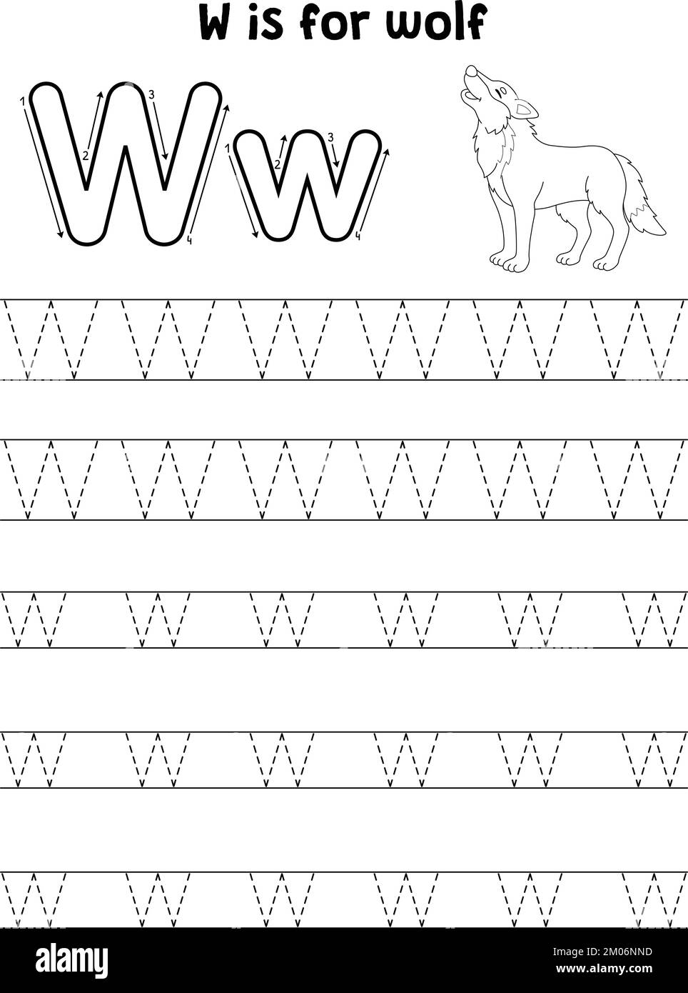 Wolf Animal Tracing lettre ABC coloriage page W Illustration de Vecteur