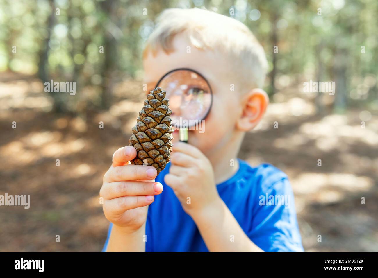 Curieux garçon explore la nature avec la loupe en plein air Banque D'Images