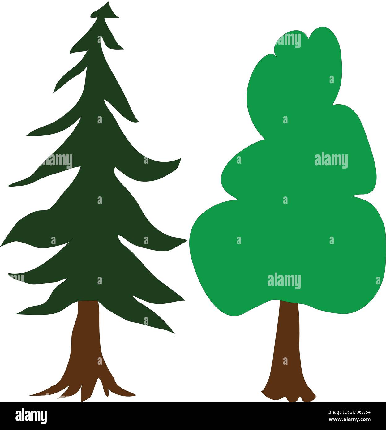 Deux arbres vecteur conifères et arbres à feuilles caduques sur fond blanc Illustration de Vecteur