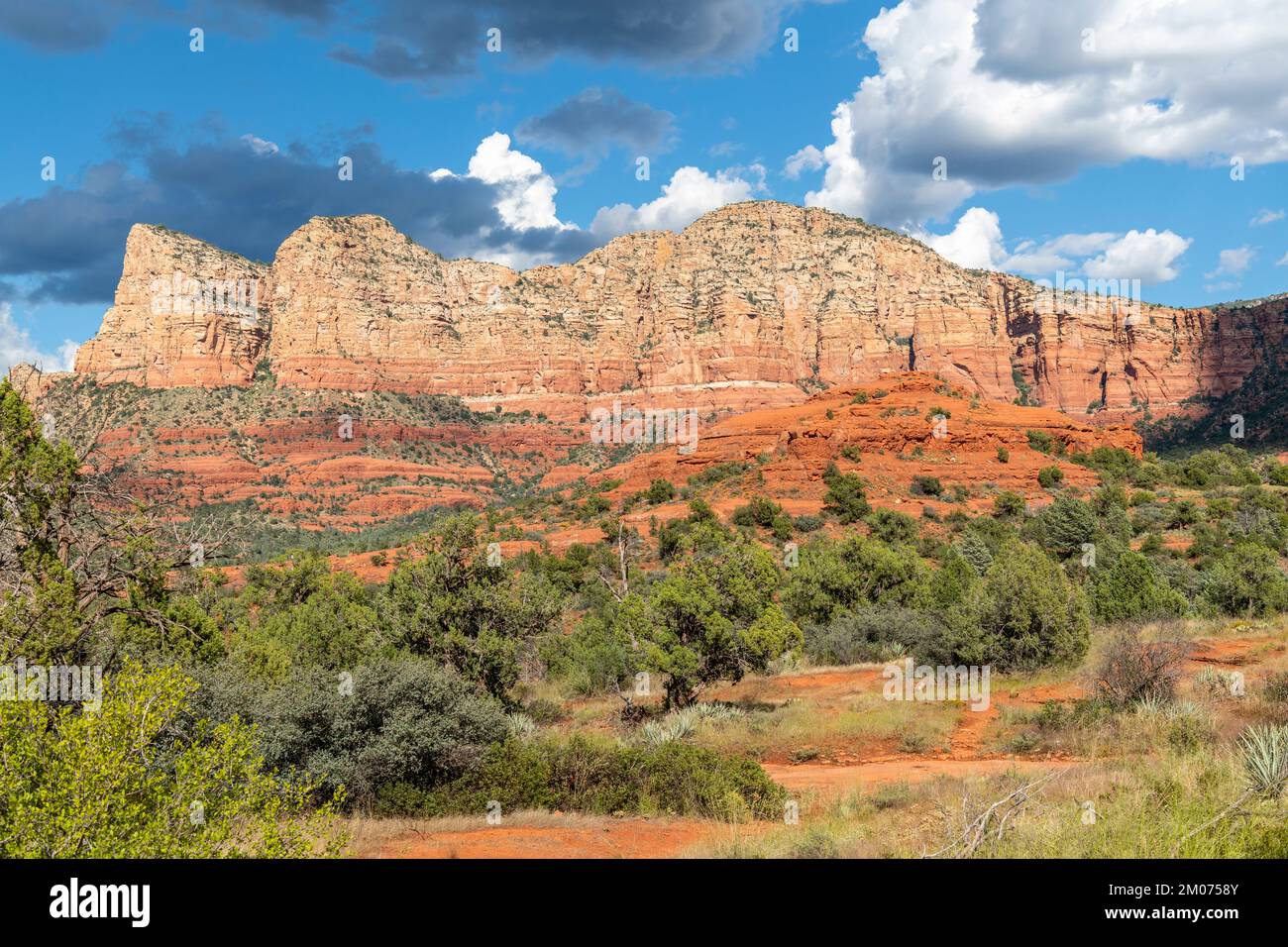 Formations de roches rouges, évasion, près de Sedona, AZ, États-Unis, Octobre, par Dominique Braud/Dembinsky photo Assoc Banque D'Images