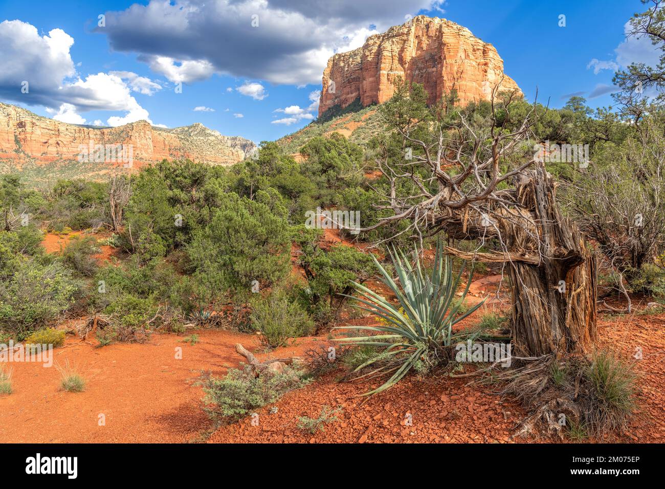 Courhouse Butte, près de Sedona, Arizona, États-Unis, octobre, Par Dominique Braud/Dembinsky photo Assoc Banque D'Images