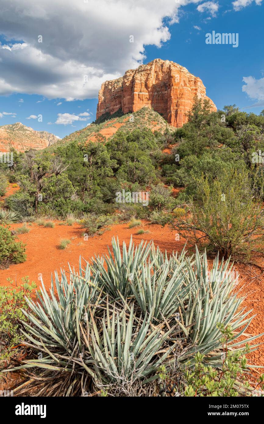 Courhouse Butte, près de Sedona, Arizona, États-Unis, octobre, Par Dominique Braud/Dembinsky photo Assoc Banque D'Images