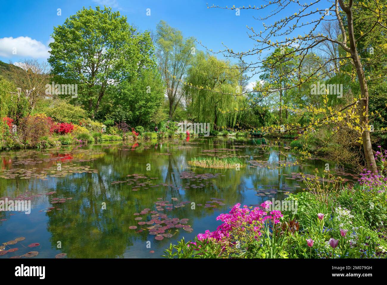 Plantes à fleurs reflétées dans le jardin aquatique de Monet à Giverny, France Banque D'Images