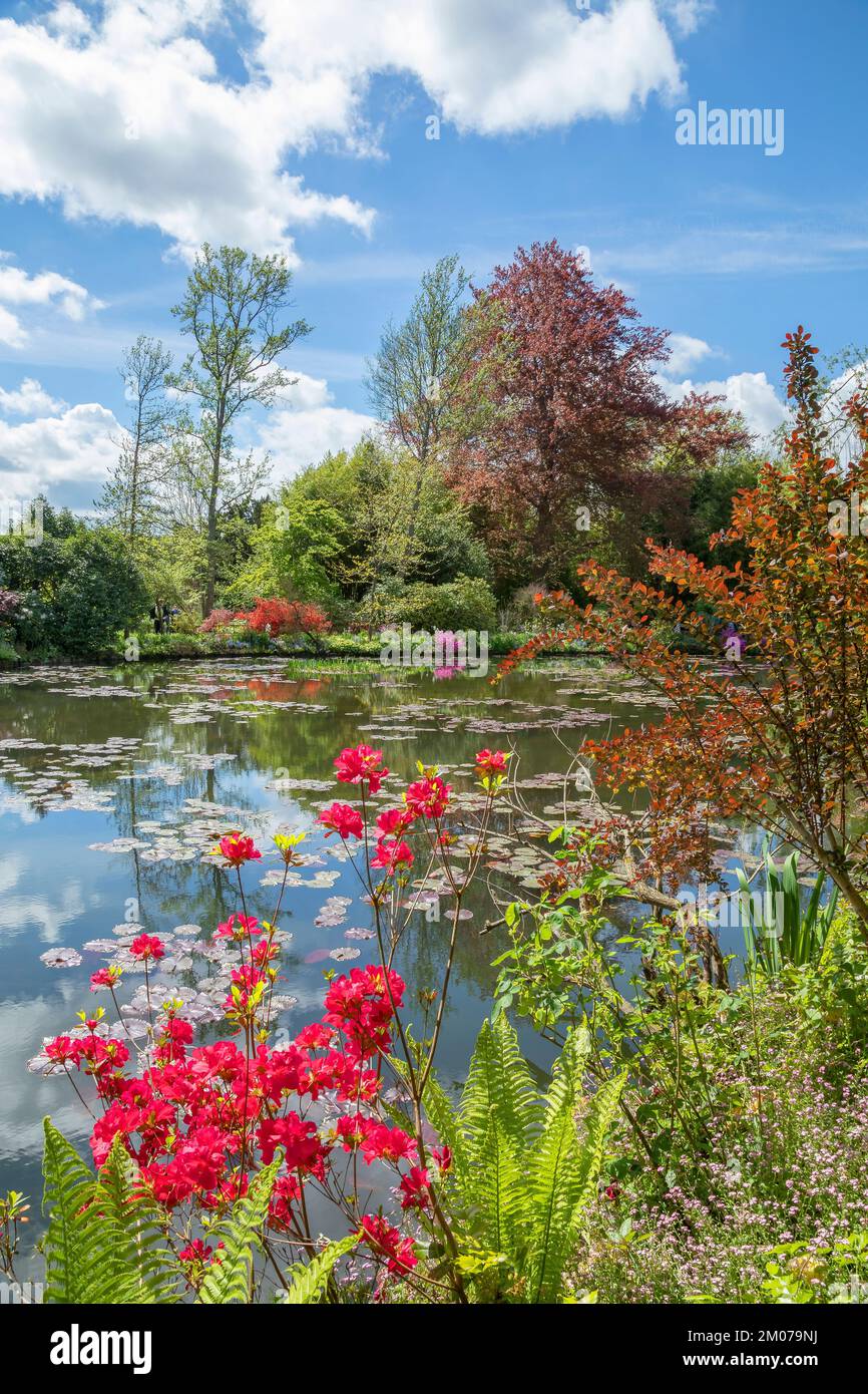 L'étang aux nénuphars de Claude Monet à Springtime, Giverny, France Banque D'Images