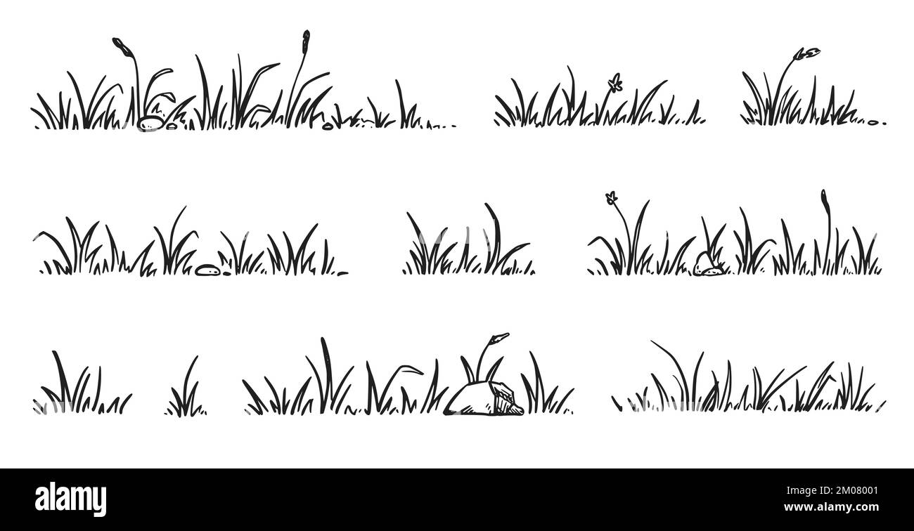 Ensemble de styles d'esquisse pour herbe. Tracé à la main, contour du champ d'herbe, arrière-plan griffé. Sprout, fleur, éléments de trèfle. Illustration vectorielle. Illustration de Vecteur