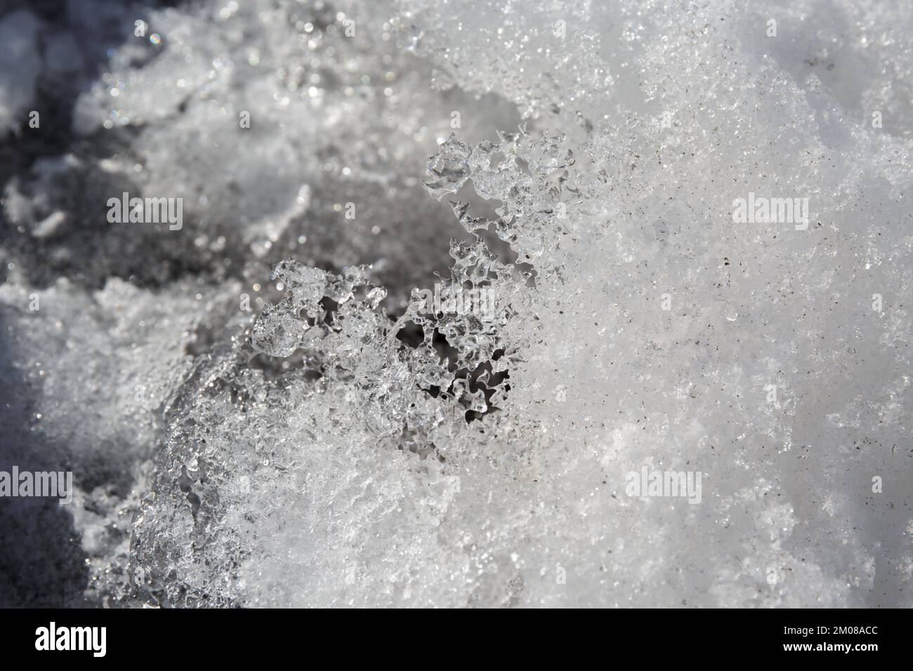 texture de la glace, fonte de la neige, glaçage. Flocons de neige congelés, glaces. Formations de glace Banque D'Images
