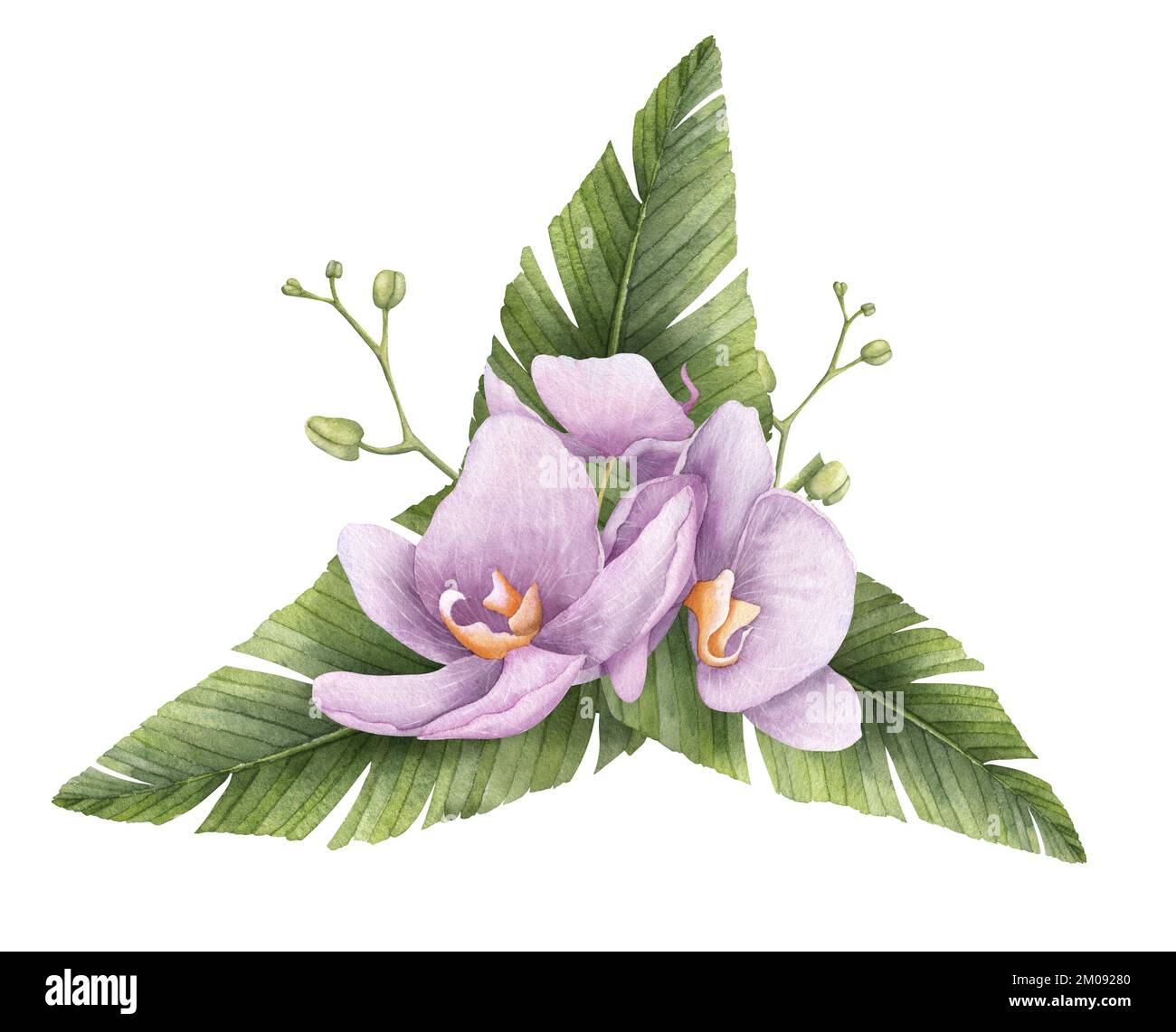 Fleurs d'orchidée rose aquarelle avec feuilles de palmier vertes. Illustration dessinée à la main avec des plantes tropicales exotiques. Dessin botanique avec bouquet floral pour cartes de vœux ou invitations de mariage. Banque D'Images