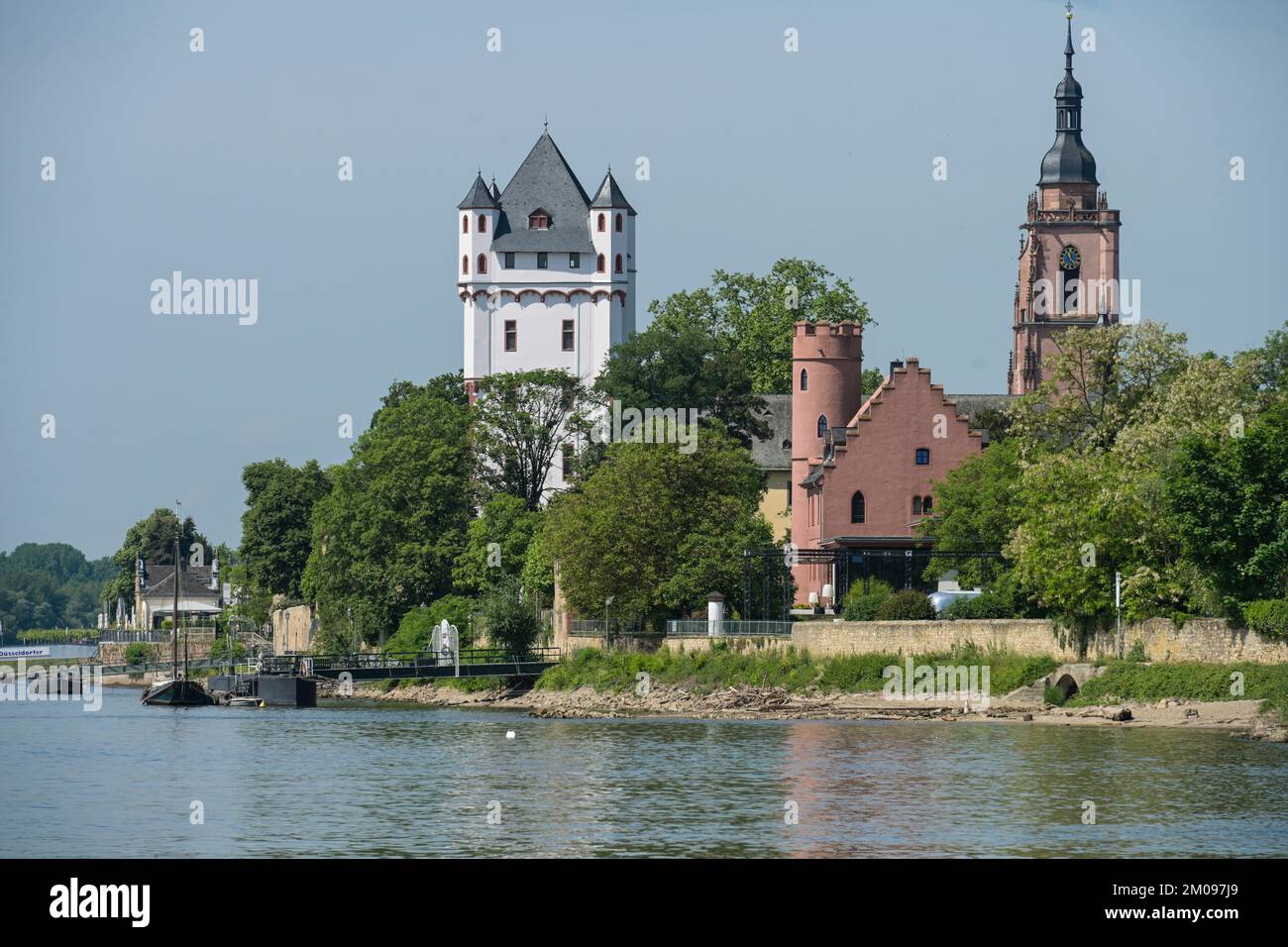 Rhein, Wehrturm Kurürstliche Burg, Burg Crass, Pfarrkirche Sankt Peter und Paul, Eltville, Hessen, Deutschland Banque D'Images