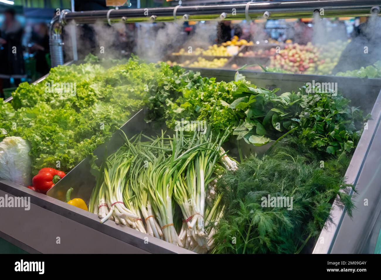 Vente de légumes verts frais - salade de laitue, persil, aneth, oignons verts, herbes. Des herbes fraîches sont exposées à l'épicerie sous la vapeur d'eau froide. Banque D'Images