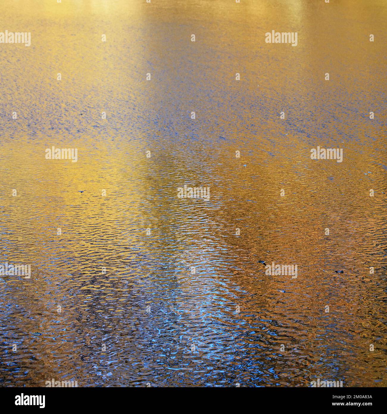 Photographie abstraite de la nature, montrant le motif, la texture et la forme réfléchis, avec une palette de couleurs montrant des formes légères de la nature miroir sur la surface Banque D'Images