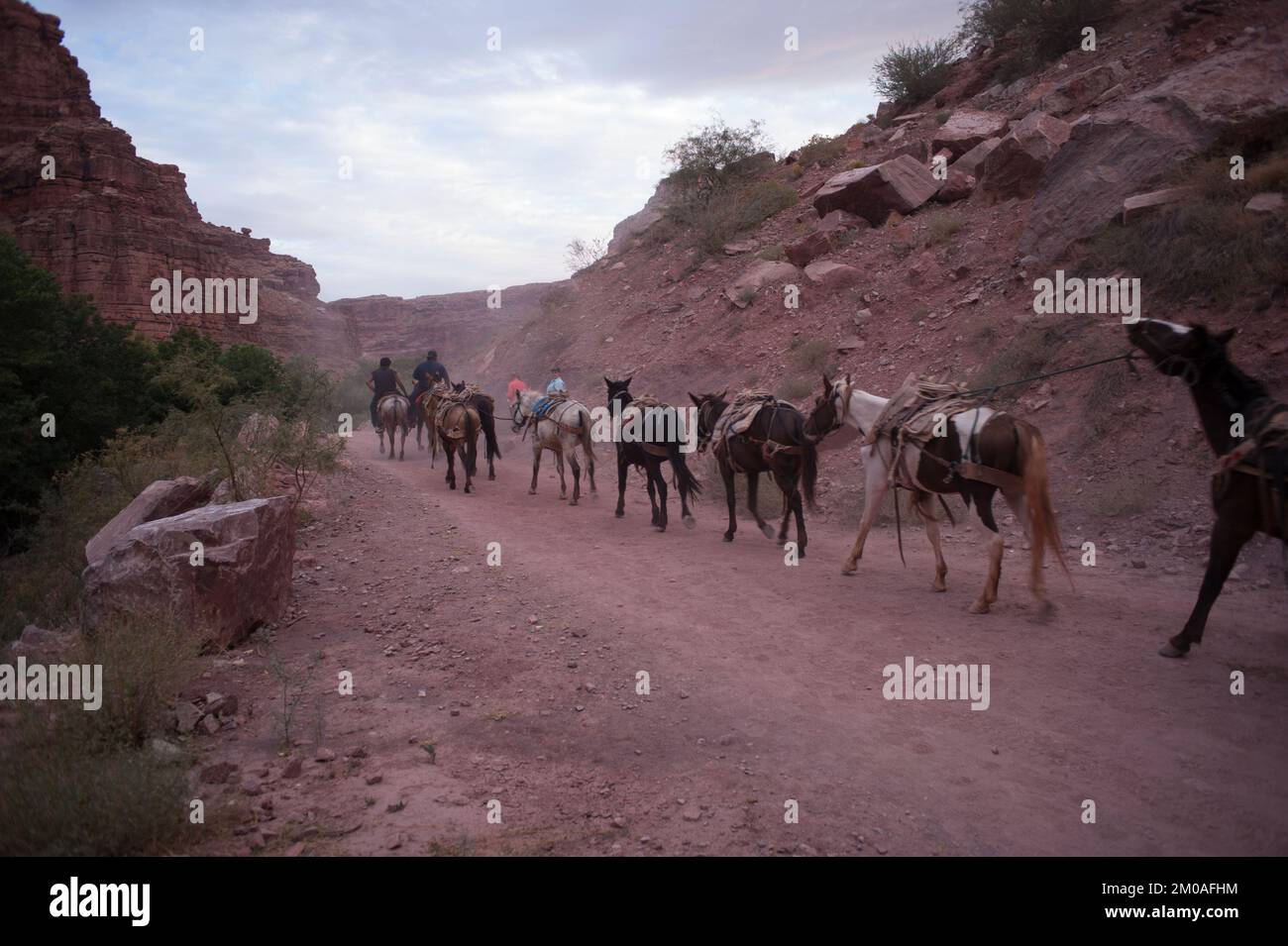 Bureau de l'administrateur - Amérindiens d'Arizona - image de la nation Tohono O'odham, de la tribu Hualapai, de la tribu indienne Havasupai et de la réserve indienne Havasupai , Environmental protection Agency Banque D'Images