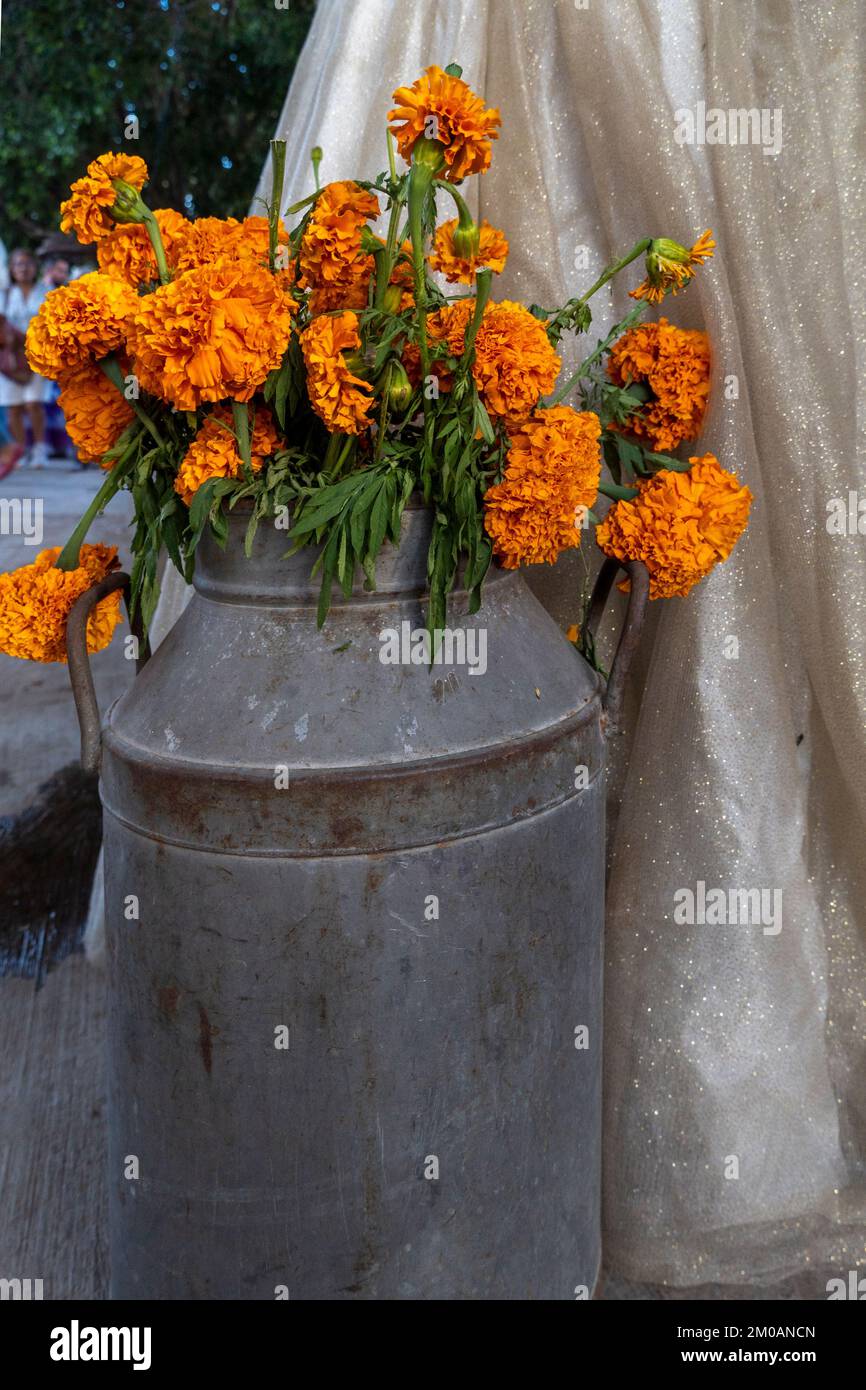 fleur de cempasuchil dans un vase en métal à côté d'une robe de mariage de catrina, calavera mexique Banque D'Images