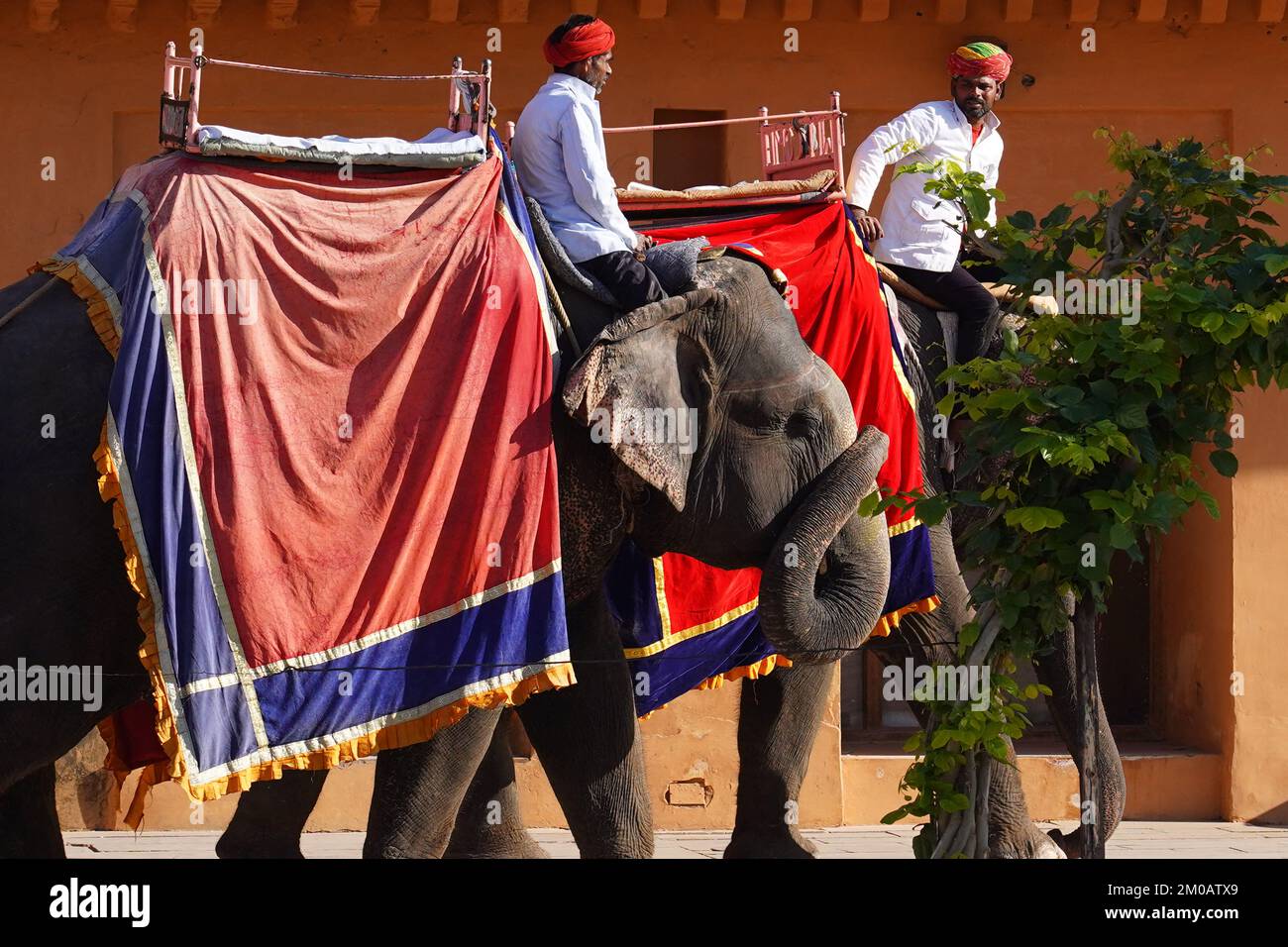 Le Mahout indien se déplace un éléphant peint dans le fort historique d'Amer à Jaipur, Rajasthan, Inde, 26 novembre 2022. Photo par ABACAPRESS.COM Banque D'Images
