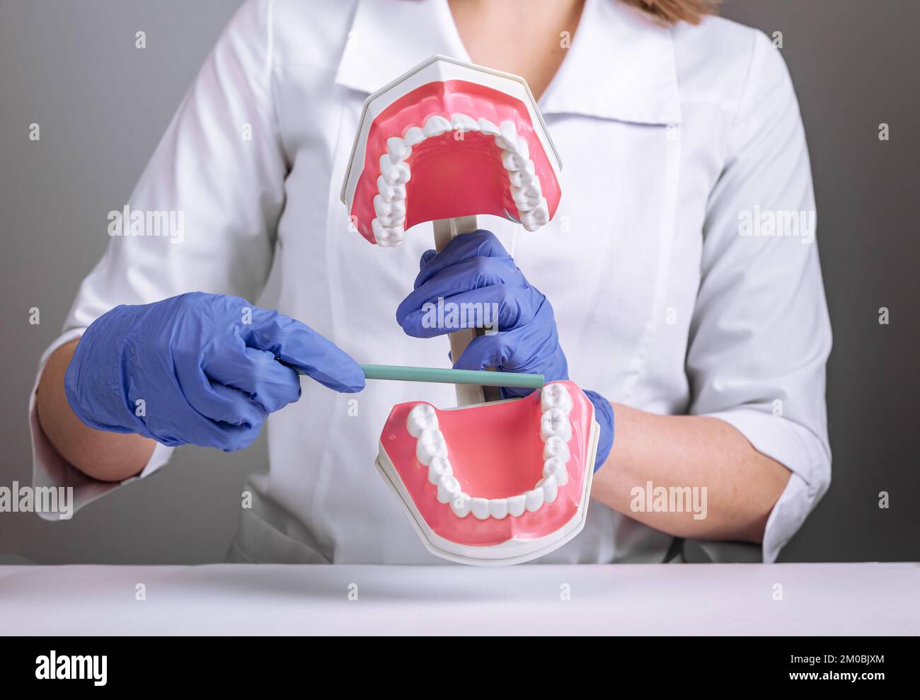 Dent de sagesse, troisième concept molaire. Médecin dentiste montrant des dents, fausse mâchoire artificielle modèle. Photo de haute qualité Banque D'Images