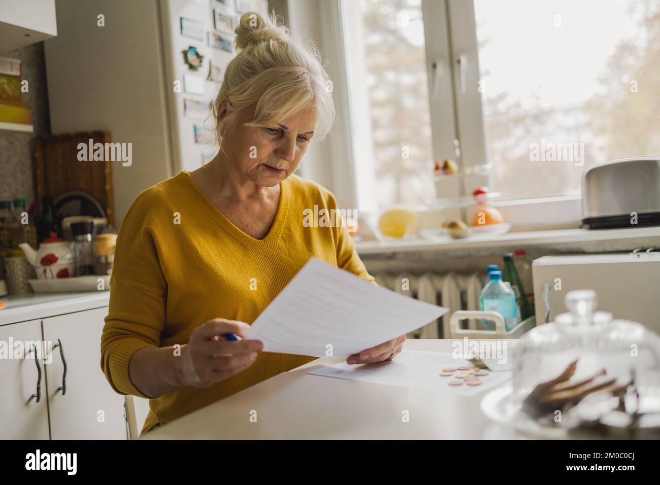 Femme senior remplissant les États financiers Banque D'Images