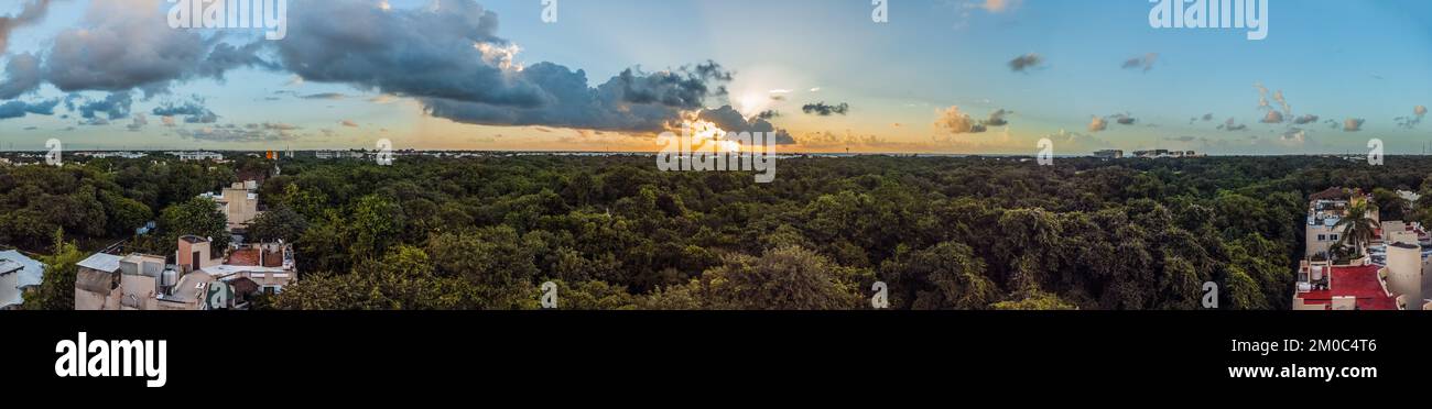 Vue panoramique sur une belle forêt à Carmen, au Mexique Banque D'Images