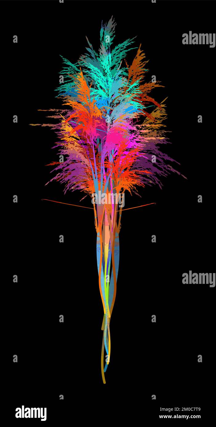 Roseaux de couleur aquarelle sur fond noir. Bouquet de branches arc-en-ciel. Illustration vectorielle Illustration de Vecteur