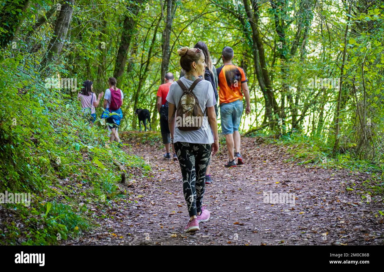 Groupe d'amis marchant dans une forêt verte luxuriante avec de nombreuses feuilles mortes sur le sol. Derrière tout marche une femme regardant de côté Banque D'Images