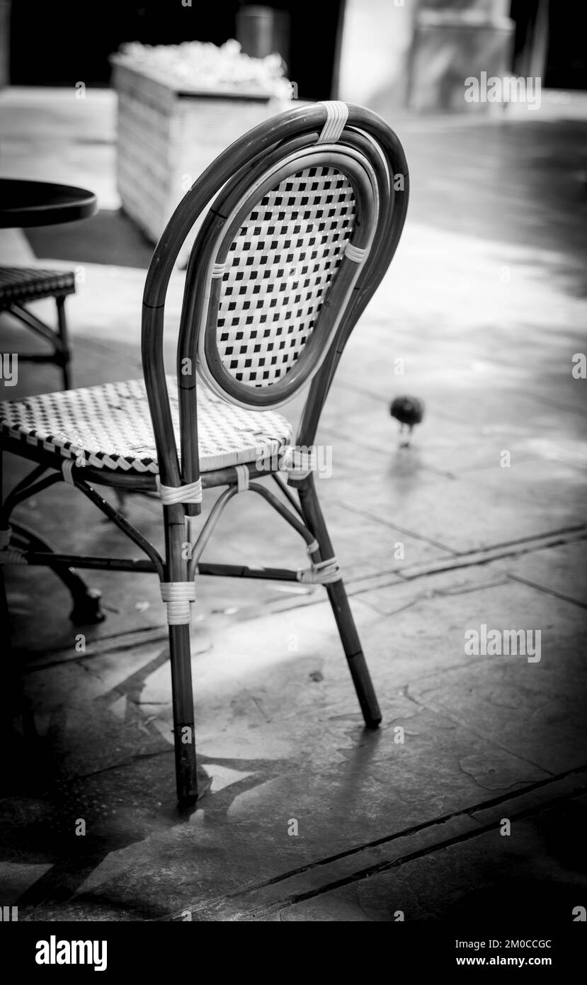 Chaise bistro extérieure en noir et blanc et pigeon en arrière-plan Banque D'Images