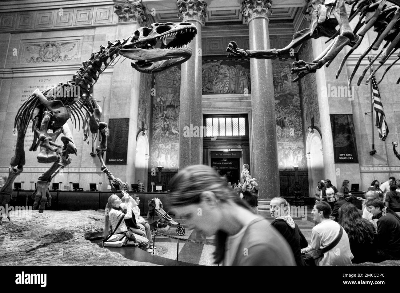 Musée américain d'Histoire naturelle. Central Park West jusqu'à 79th Street, Manhattan, New York, États-Unis. Expositions de squelette de dinosaure dans la salle principale de l'Am Banque D'Images